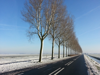 De polder ligt er mooi bij! 