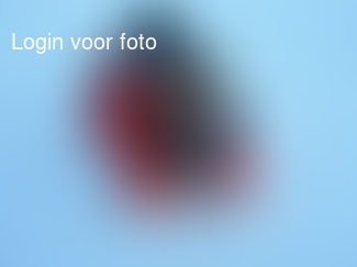 Onvermoeibaar aan het sleeÃ«n