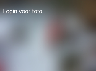 Iedereen strooit zout maar onze dochter maakt glijbanen...