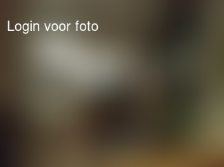 Laatste repetitie van boekbespreking