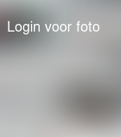 Mooie wedstrijden en heerlijke dag skien