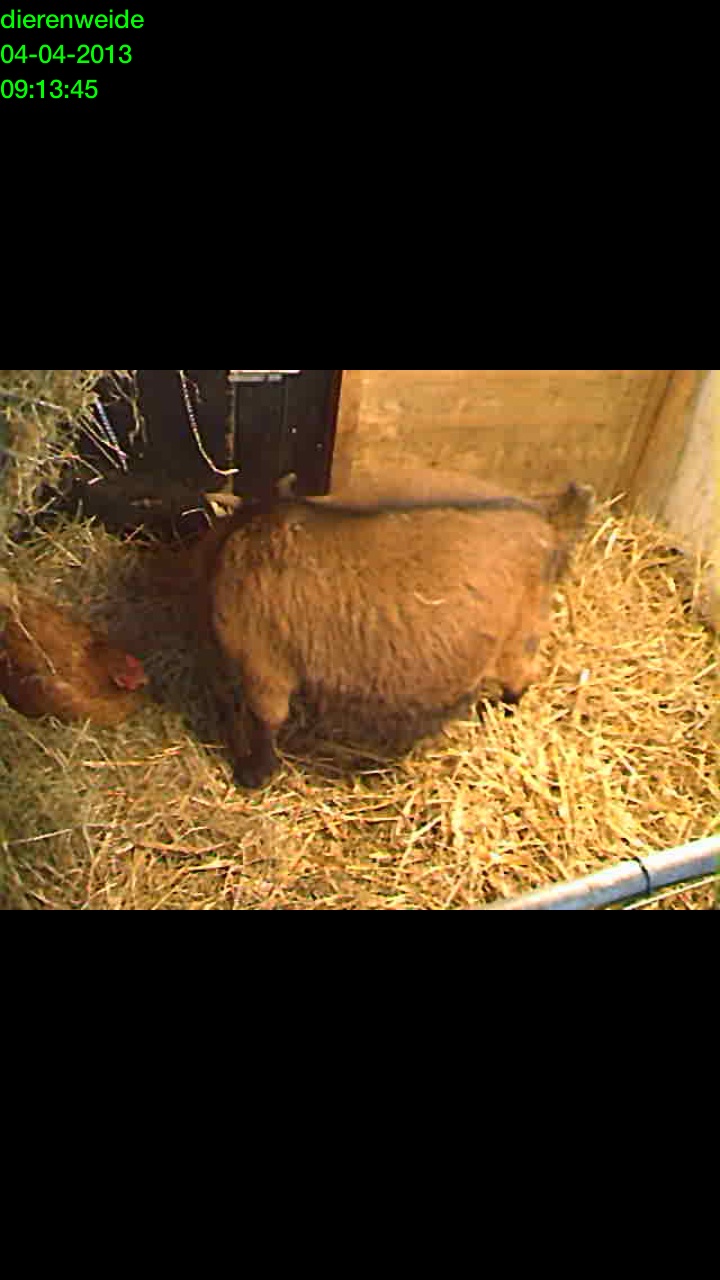 Af fijn, de kraamhulp is er al