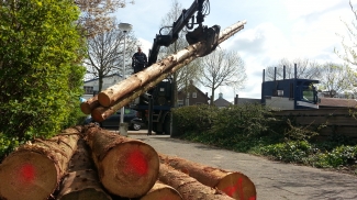 Zo, de paaltjes liggen klaar! 