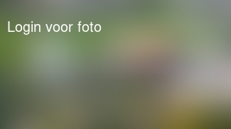 En wie zat er voorin toen dit ding de straat in kwam rijden?... Juist, ons kleine mannetje