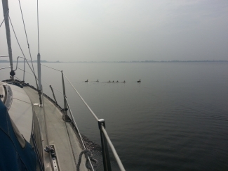 Maar zo ging ik naar BBQ 