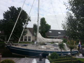 Wat een mooi kado lag er vanmorgen toen ik de gordijnen open deed! 