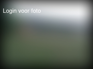 Even rustig balletje overtrappen na het eten.  Toen team Dofferhoff aan haakte werd het menes... 