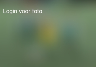 Zinderende spanning langs de lijn