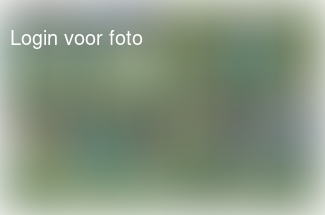 Verloren maar lekker enthousiast gespeeld! 