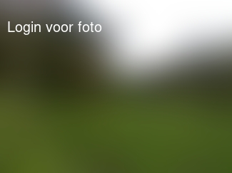 Appels rapen met oma