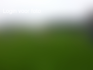 Jawel, 14-0 gewonnen! 