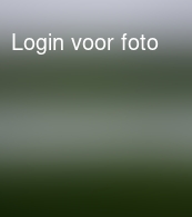 Lekker fris langs de lijn