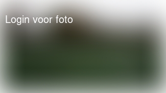 Vroeg voetballen. 1 -  0 voor... 