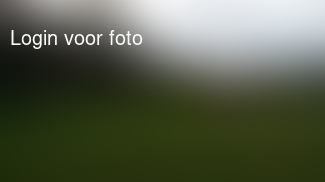 Goedemorgen van langs de lijn