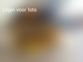 Ik mocht de zadelkamer maken