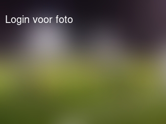 Lekker regenachtige training 