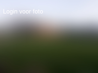 Alphense boys... Altijd lastig