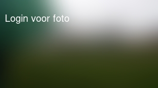 Voetbal op zn mooist, in de zeikregen langs de lijn