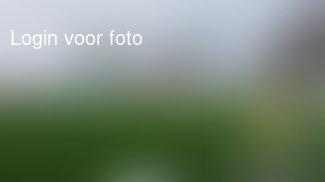 Uit tegen dames uit Noorden