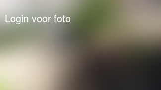 Wat goede voeding al niet doet. Trekt zo een conifeer uit de grond