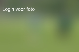 Nipt verloren, wel gave wedstrijd 