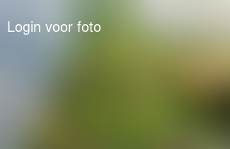 Gaat goed met de kikkertjes