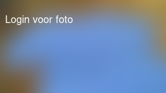 Die moet het doen vanavond volgens het knutselwerk van Mathijs 