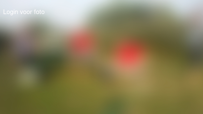 Kokkerellen op de cobb