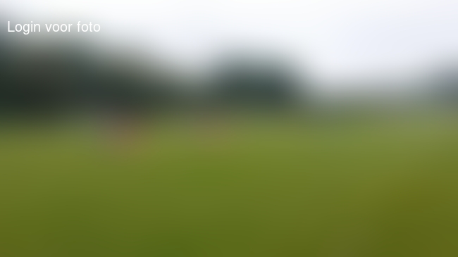 Eerste pot voetbal voor vandaag