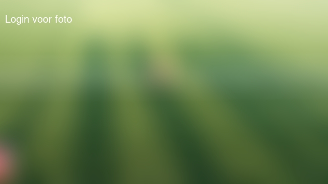 Lekker in het zonnetje training kijken