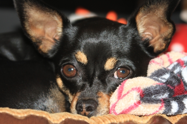 De loge voor komende week, nu al gezelliger dan alleen thuis werken... 