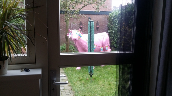 Dan word je wakker met hoofdpijn, kijk je uit het raam en denk je.... Oh ja, zo een avond!