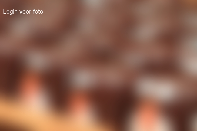 Met 30 pinguins naar school... 