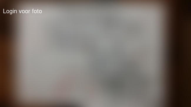 Tekening en brief voor de sint... 