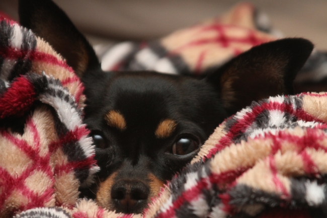 Zo word je dan aangekeken als je voorstelt nog een blokje om te lopen