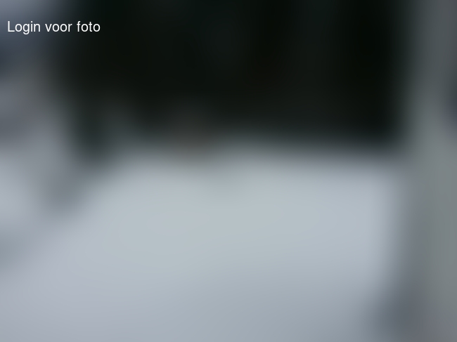 Uit de auto en sneeuwpret! 