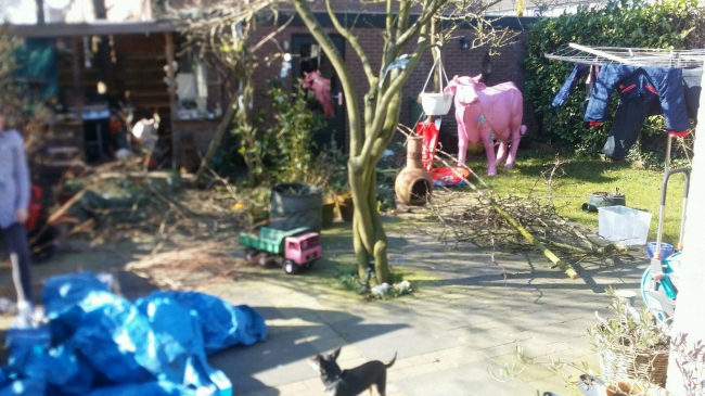 Wat een heerlijk dagje, lekker aan de tuin begonnen 