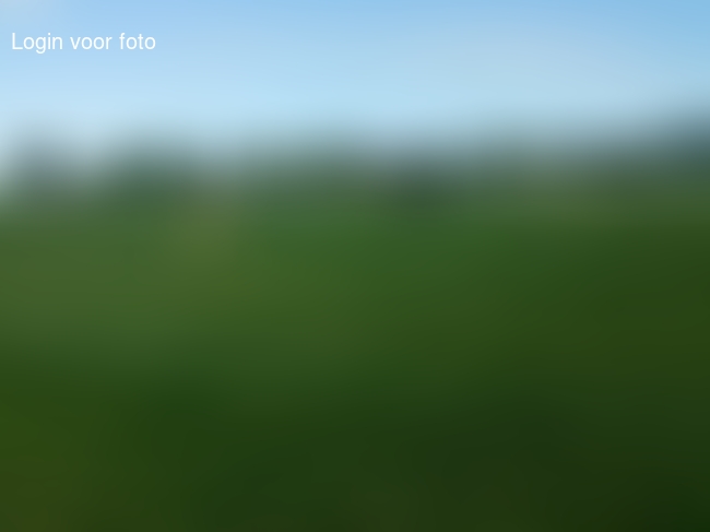 Voetbaltoernooi f pupillen 