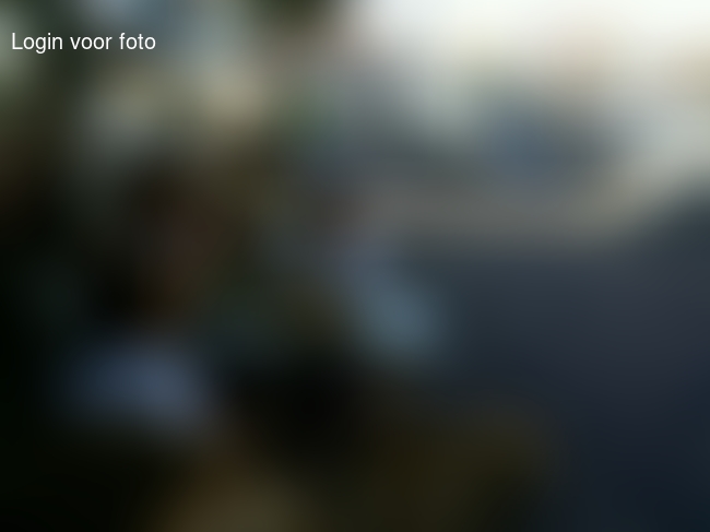 Lekker visje halen in Volendam 