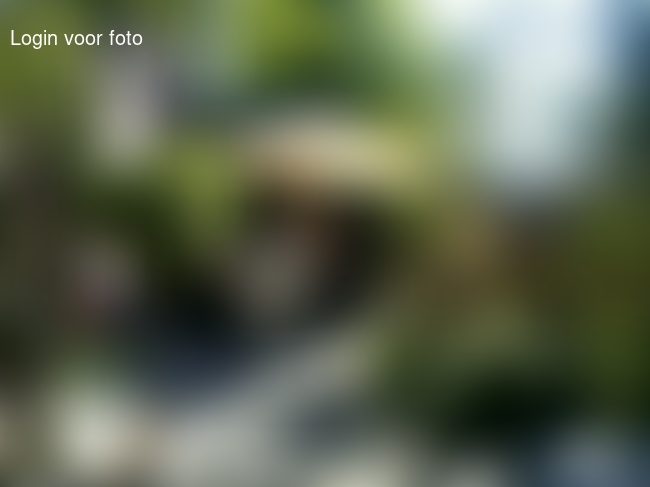 Lekker thuiskomen met dit weer, vakantie gaat gewoon door