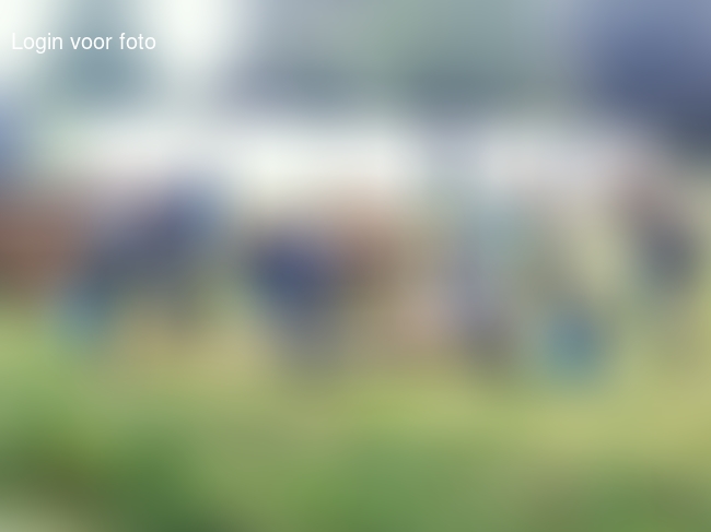 Huttenbouw begonnen, had ze alleen veel beter weer gegund! 