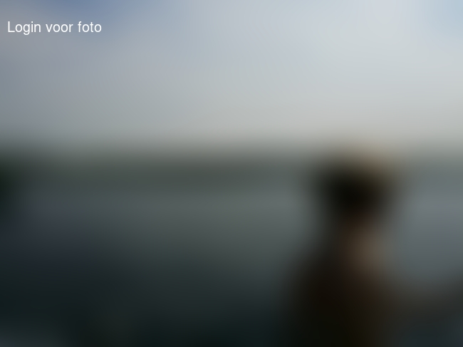 Even ankeren bij het strandje