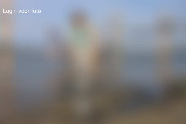 Nog een paar plaatjes van Brouwershaven