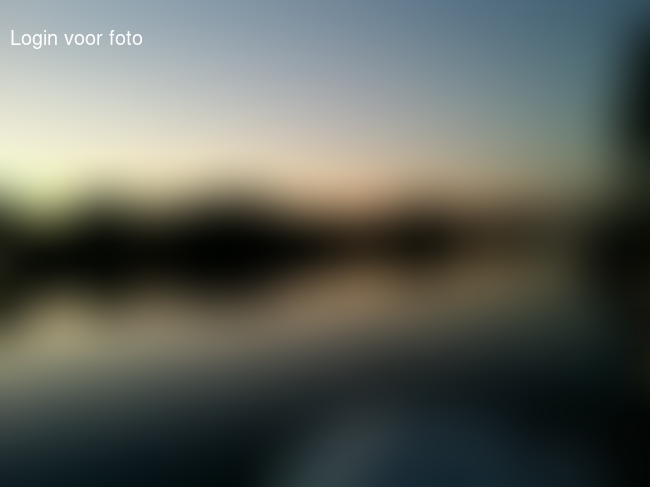 Mannetje wilde op de boot slapen om de ochtend op het water te zien... 