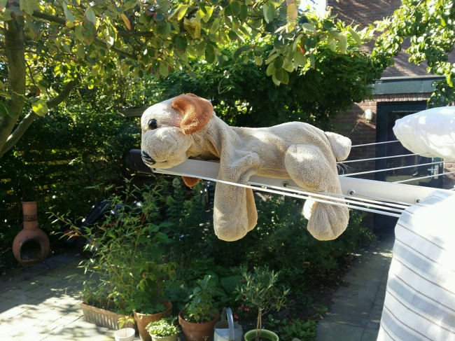 Zelfs zijn knuffel moet bijkomen van de nacht op de boot 