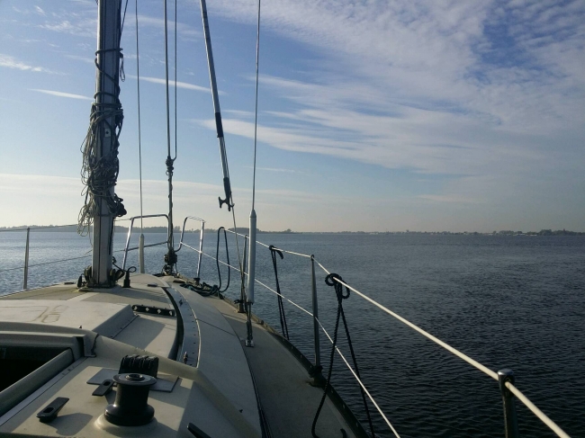 27 oktober in een T-shirt 