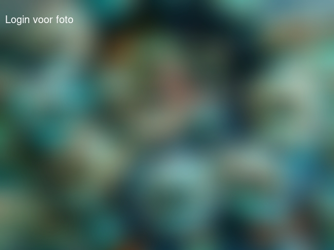 Trakteren op school: cookiemonsters