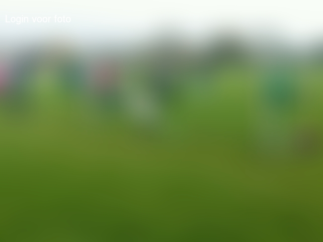 Helaas verloren maar goed gespeeld