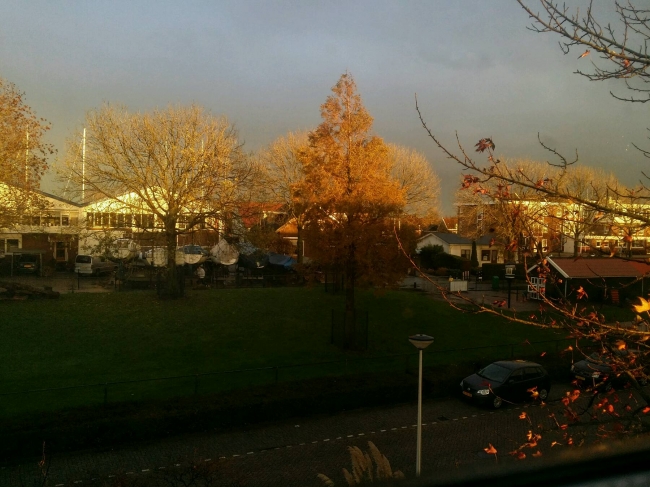 De buien leveren wel mooie belichtingen op