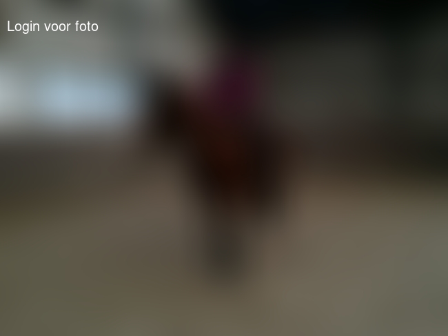 Mannetje ziek, geen voetbal maar wel paardrijles  kijken